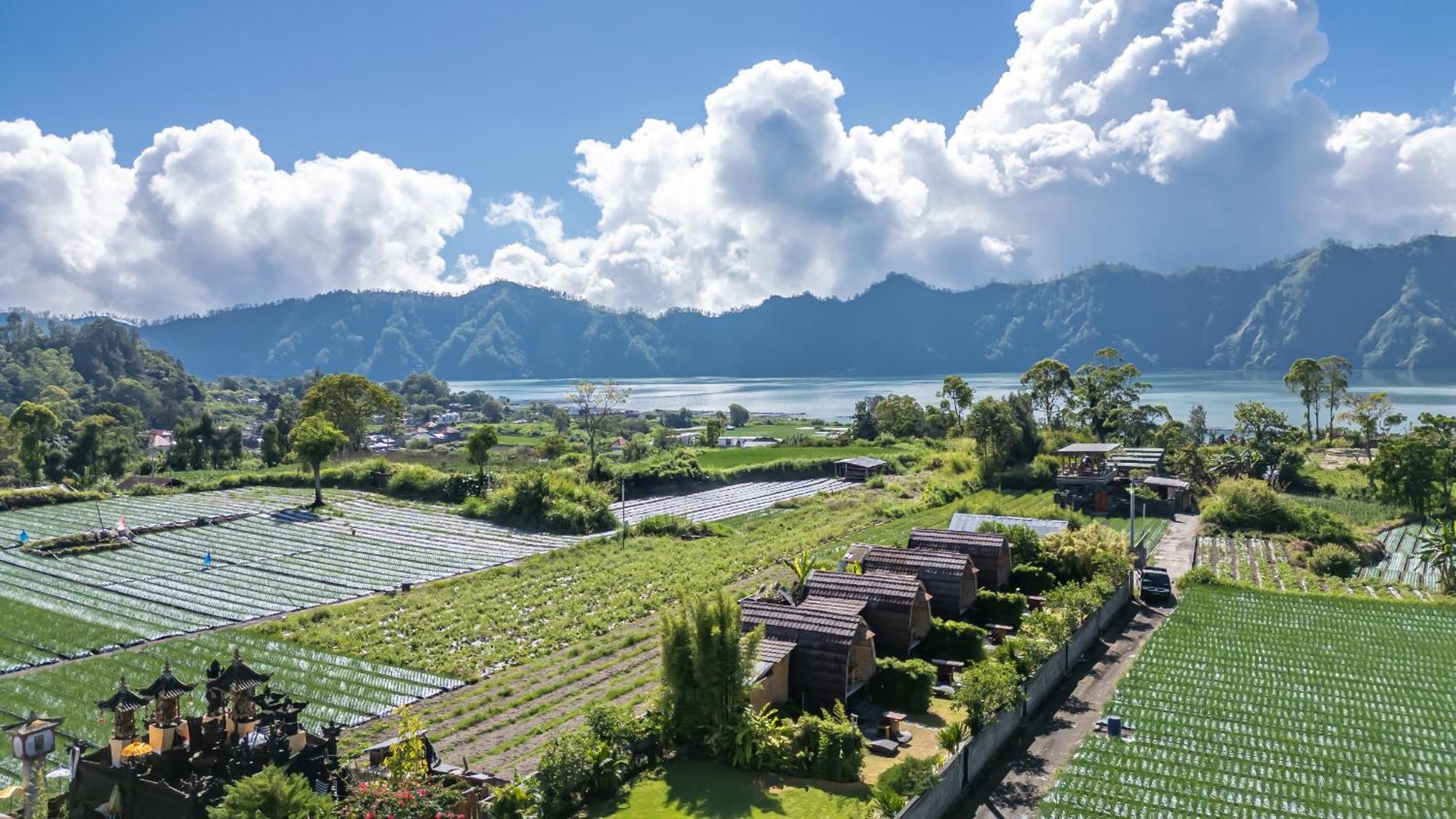 Tegal Bamboo Cottages & Private Hot Spring Baturaja  Luaran gambar