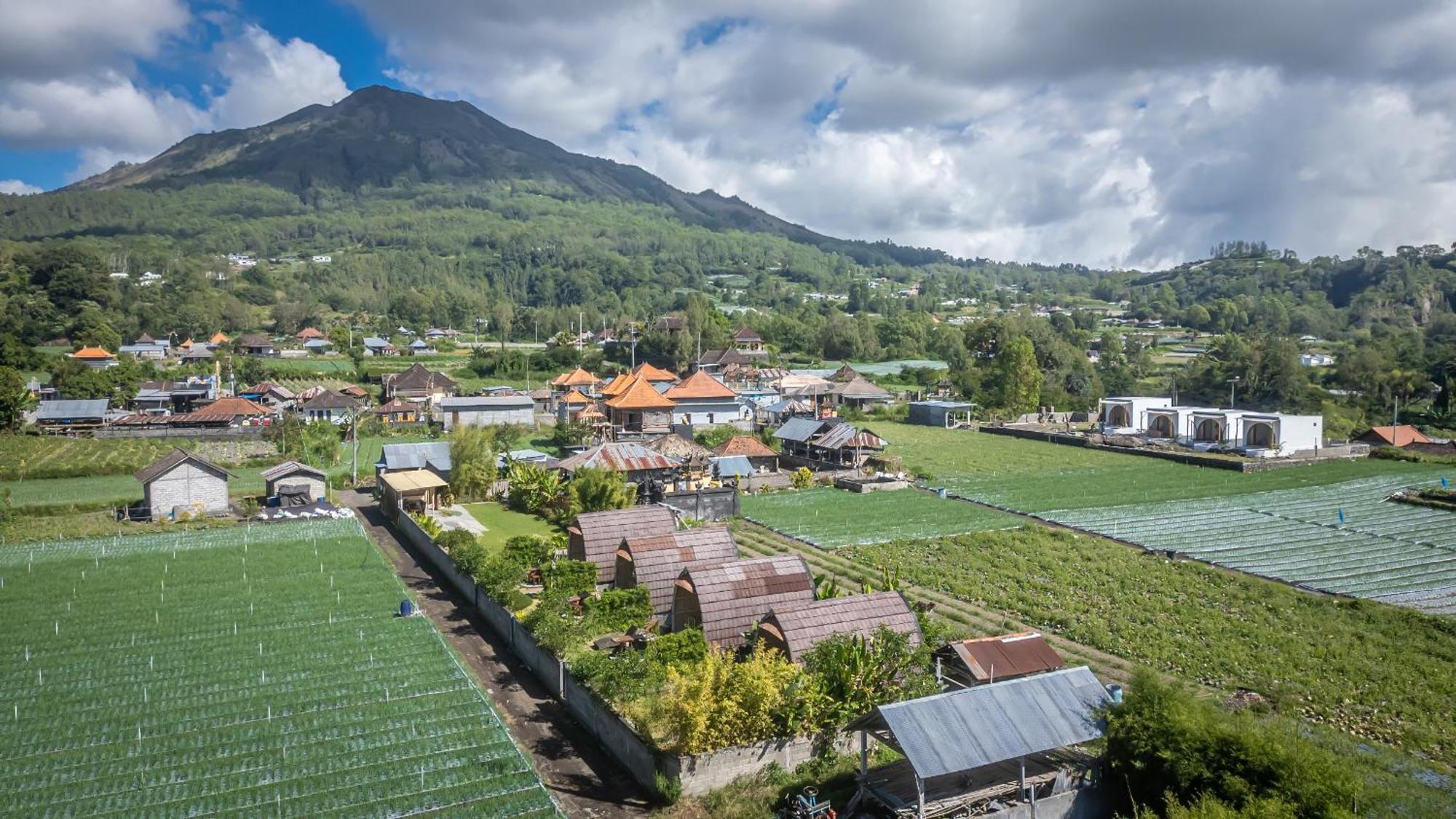 Tegal Bamboo Cottages & Private Hot Spring Baturaja  Luaran gambar
